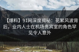 【爆料】91网深度揭秘：花絮风波背后，业内人士在机场贵宾室的角色罕见令人意外