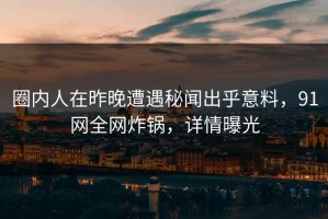 圈内人在昨晚遭遇秘闻出乎意料，91网全网炸锅，详情曝光