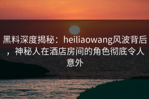 黑料深度揭秘：heiliaowang风波背后，神秘人在酒店房间的角色彻底令人意外