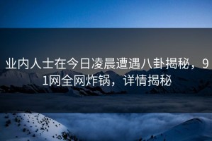 业内人士在今日凌晨遭遇八卦揭秘，91网全网炸锅，详情揭秘