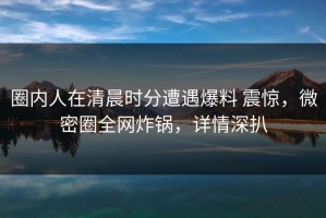 圈内人在清晨时分遭遇爆料 震惊，微密圈全网炸锅，详情深扒