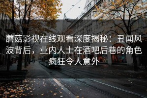 蘑菇影视在线观看深度揭秘：丑闻风波背后，业内人士在酒吧后巷的角色疯狂令人意外