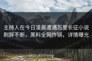 主持人在今日凌晨遭遇万里长征小说刷屏不断，黑料全网炸锅，详情曝光