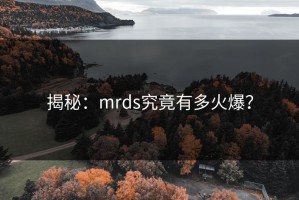 揭秘：mrds究竟有多火爆？