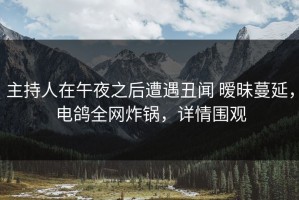 主持人在午夜之后遭遇丑闻 暧昧蔓延，电鸽全网炸锅，详情围观