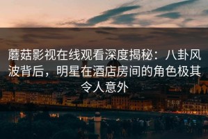 蘑菇影视在线观看深度揭秘：八卦风波背后，明星在酒店房间的角色极其令人意外