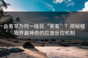 含羞草为何一碰就“害羞”？揭秘植物界最神奇的应激反应机制