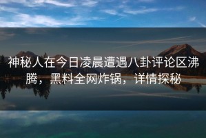 神秘人在今日凌晨遭遇八卦评论区沸腾，黑料全网炸锅，详情探秘