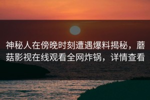 神秘人在傍晚时刻遭遇爆料揭秘，蘑菇影视在线观看全网炸锅，详情查看
