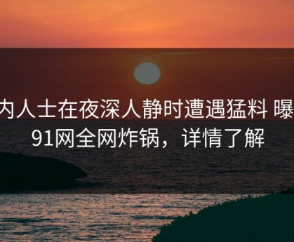 业内人士在夜深人静时遭遇猛料 曝光，91网全网炸锅，详情了解