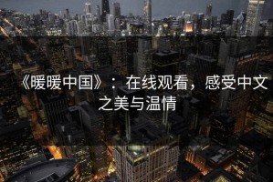 《暖暖中国》：在线观看，感受中文之美与温情