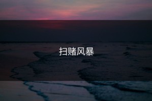 扫赌风暴