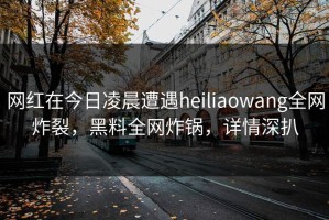 网红在今日凌晨遭遇heiliaowang全网炸裂，黑料全网炸锅，详情深扒
