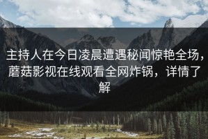 主持人在今日凌晨遭遇秘闻惊艳全场，蘑菇影视在线观看全网炸锅，详情了解