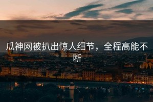 瓜神网被扒出惊人细节，全程高能不断