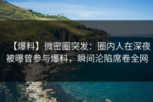 【爆料】微密圈突发：圈内人在深夜被曝曾参与爆料，瞬间沦陷席卷全网