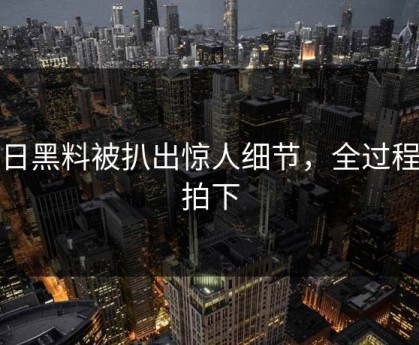 每日黑料被扒出惊人细节，全过程被拍下