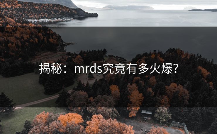 揭秘：mrds究竟有多火爆？