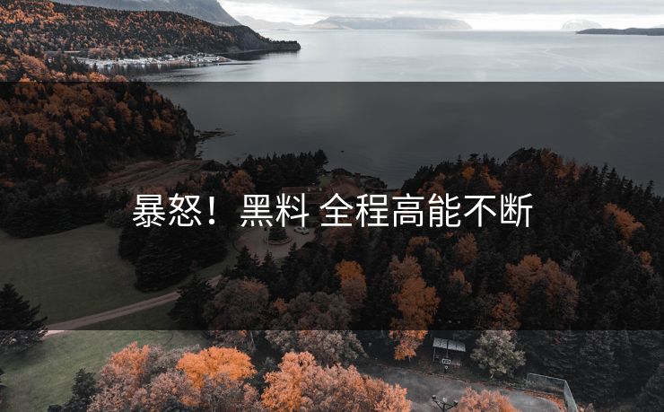 暴怒！黑料 全程高能不断