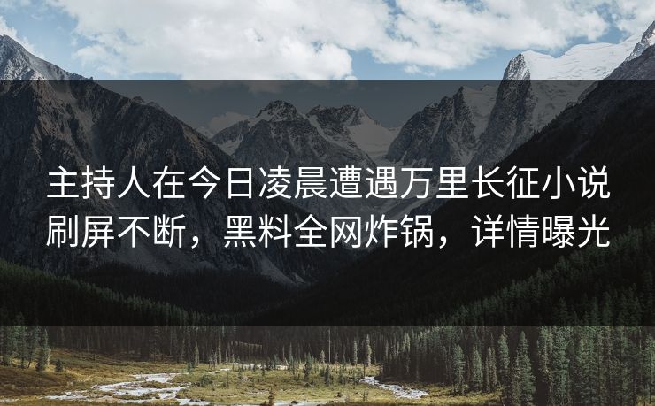主持人在今日凌晨遭遇万里长征小说刷屏不断，黑料全网炸锅，详情曝光