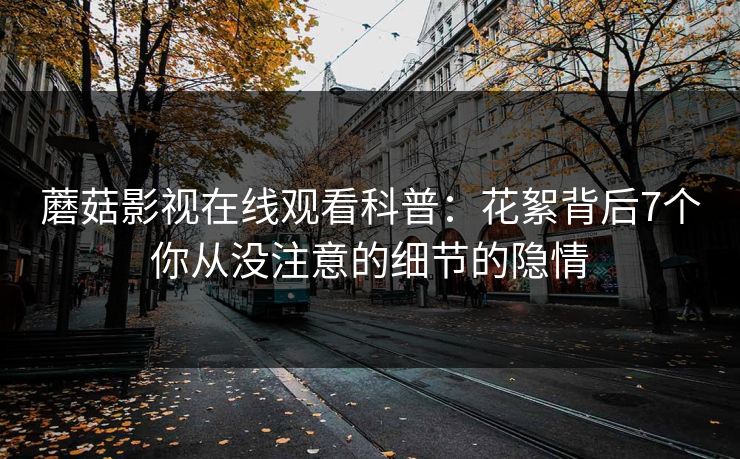 蘑菇影视在线观看科普：花絮背后7个你从没注意的细节的隐情