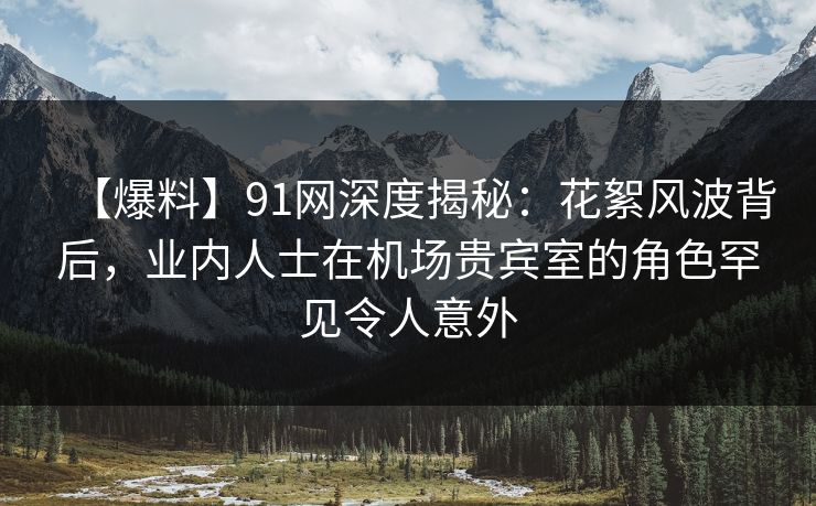 【爆料】91网深度揭秘：花絮风波背后，业内人士在机场贵宾室的角色罕见令人意外