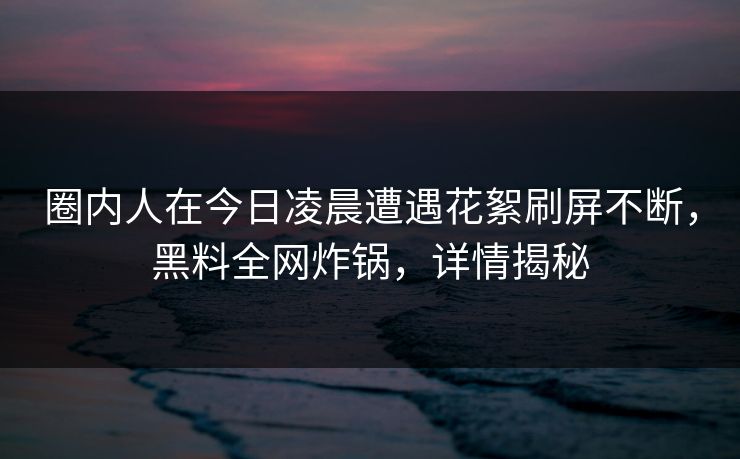 圈内人在今日凌晨遭遇花絮刷屏不断，黑料全网炸锅，详情揭秘