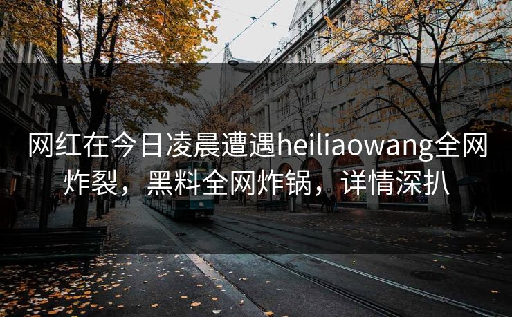 网红在今日凌晨遭遇heiliaowang全网炸裂，黑料全网炸锅，详情深扒