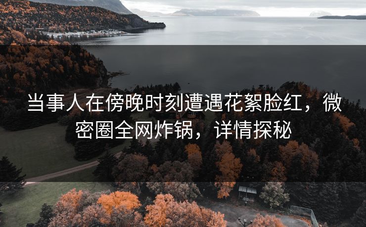 当事人在傍晚时刻遭遇花絮脸红，微密圈全网炸锅，详情探秘