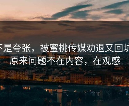 不是夸张，被蜜桃传媒劝退又回坑：原来问题不在内容，在观感