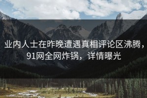 业内人士在昨晚遭遇真相评论区沸腾，91网全网炸锅，详情曝光