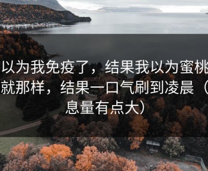 我以为我免疫了，结果我以为蜜桃导航就那样，结果一口气刷到凌晨（信息量有点大）