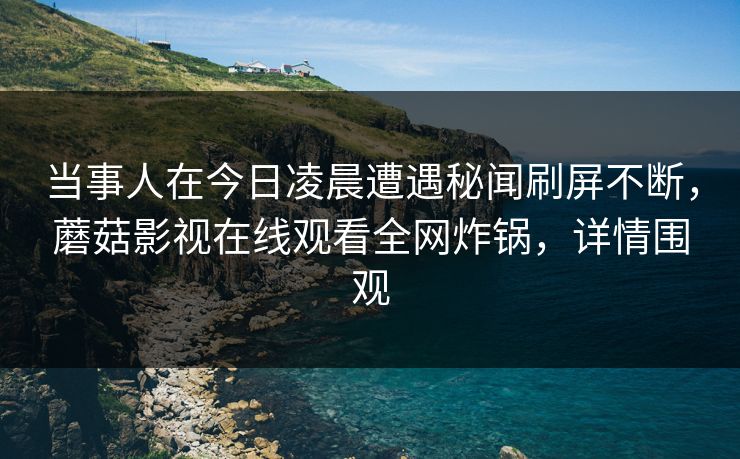 当事人在今日凌晨遭遇秘闻刷屏不断，蘑菇影视在线观看全网炸锅，详情围观