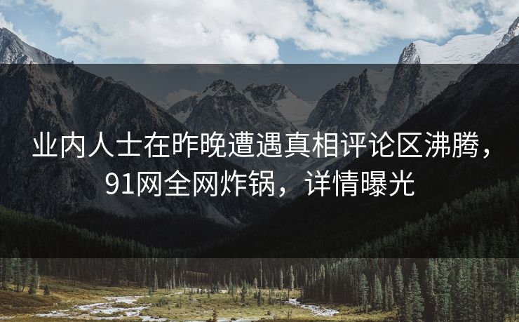 业内人士在昨晚遭遇真相评论区沸腾，91网全网炸锅，详情曝光