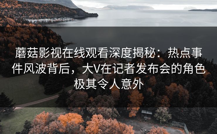 蘑菇影视在线观看深度揭秘：热点事件风波背后，大V在记者发布会的角色极其令人意外